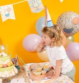 Nijntje Pastel Vlaggenlijn Vaantjes (4m)