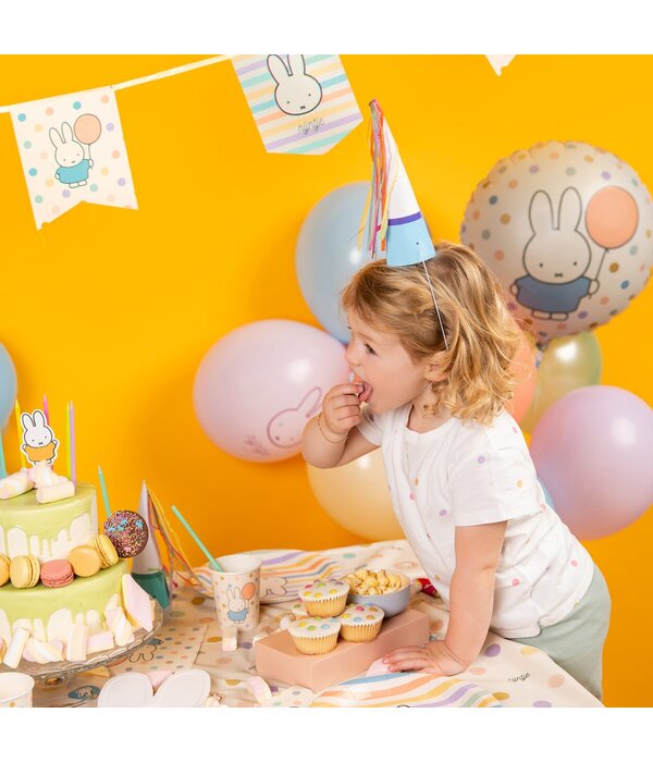 Nijntje Pastel Vlaggenlijn Vaantjes (4m)