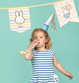 Nijntje Pastel Vlaggenlijn Vaantjes (4m)