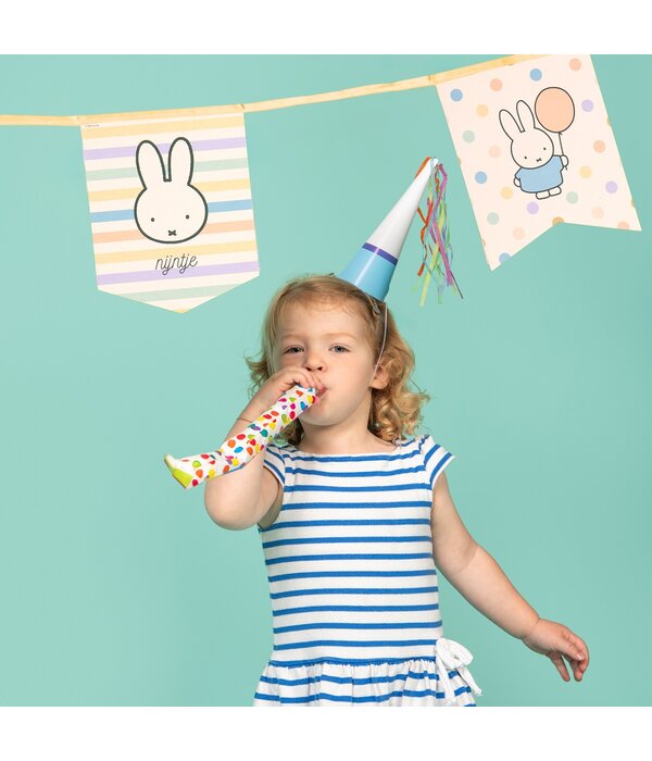 Nijntje Pastel Vlaggenlijn Vaantjes (4m)