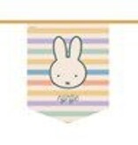 Nijntje Pastel Vlaggenlijn Vaantjes (4m)