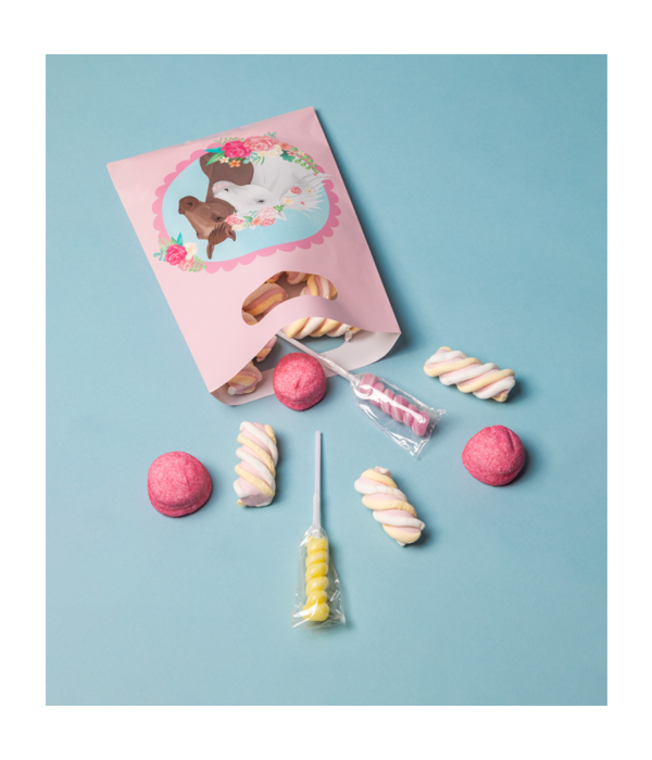 Uitdeelzakjes Paarden Dreams Roze (6st)
