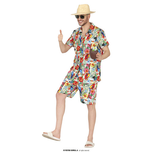 Hawaii Kostuum Multikleur Papagaai Heren