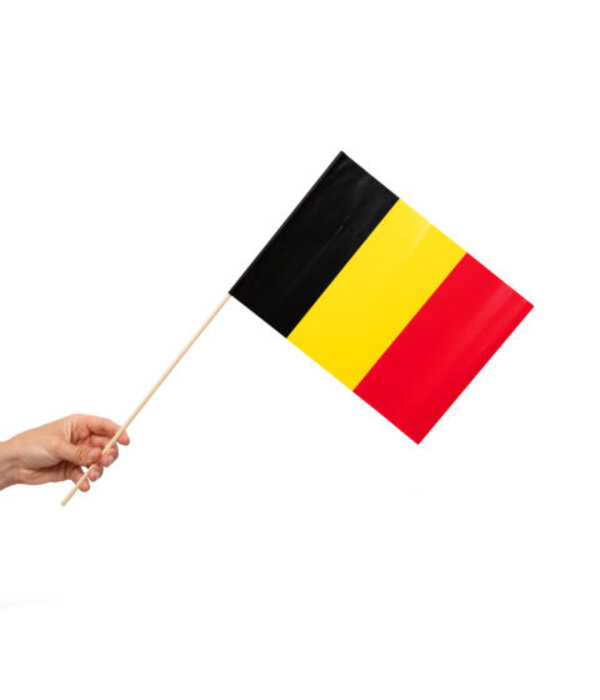Zwaaivlaggetjes België 20x30cm (10st)
