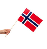 Zwaaivlaggetjes Noorwegen 20x30cm (10st)