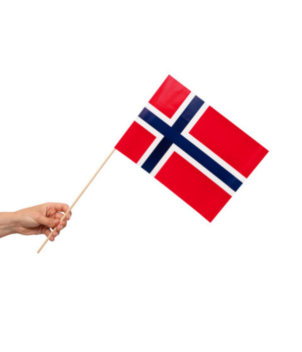 Zwaaivlaggetjes Noorwegen 20x30cm (10st)