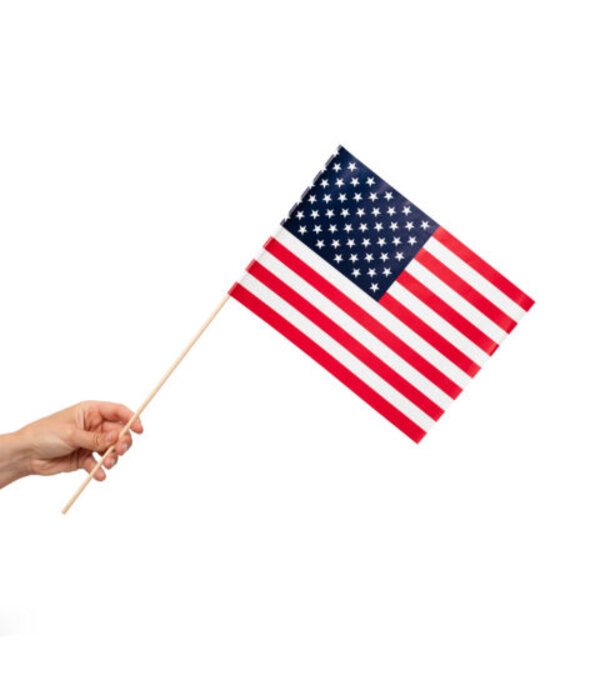 Zwaaivlaggetjes USA 20x30cm (10st)