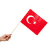 Zwaaivlaggetjes Turkije 20x30cm (10st)