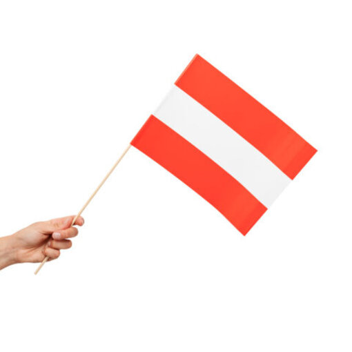 Zwaaivlaggetjes Oostenrijk 20x30cm (10st)