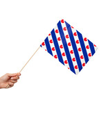 Zwaaivlaggetjes Friesland (10st)