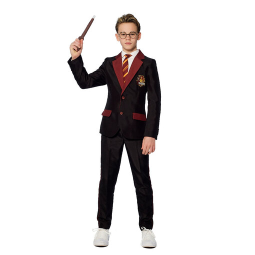Gryffindor Verkleedkostuum Harry Potter Kind