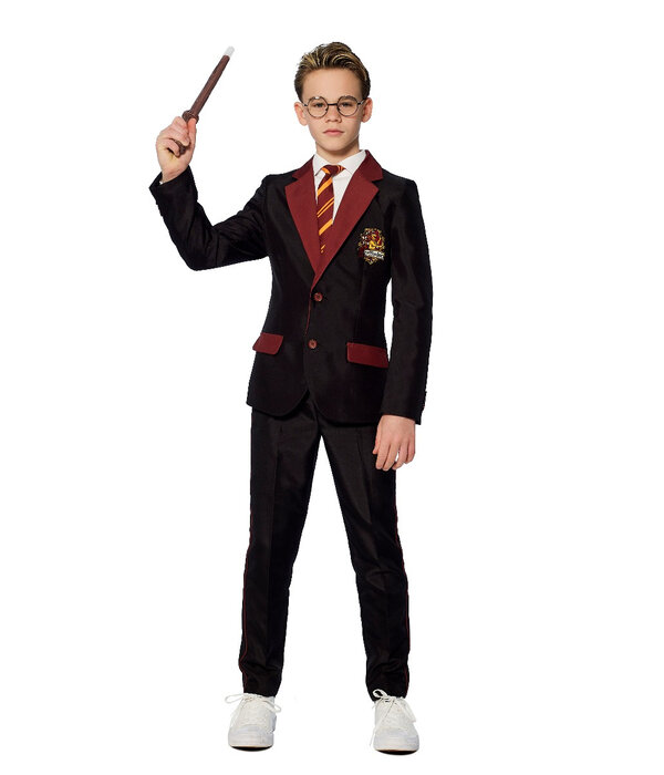 Gryffindor Verkleedkostuum Harry Potter Kind