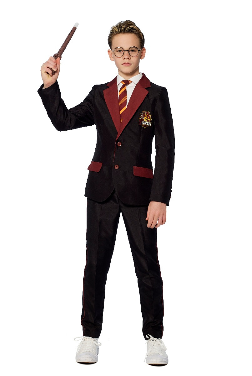 Gryffindor Verkleedkostuum Harry Potter Kind afbeelding