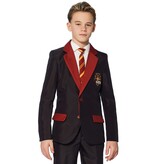 Gryffindor Verkleedkostuum Harry Potter Kind