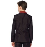 Gryffindor Verkleedkostuum Harry Potter Kind