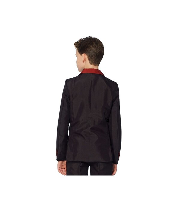 Gryffindor Verkleedkostuum Harry Potter Kind