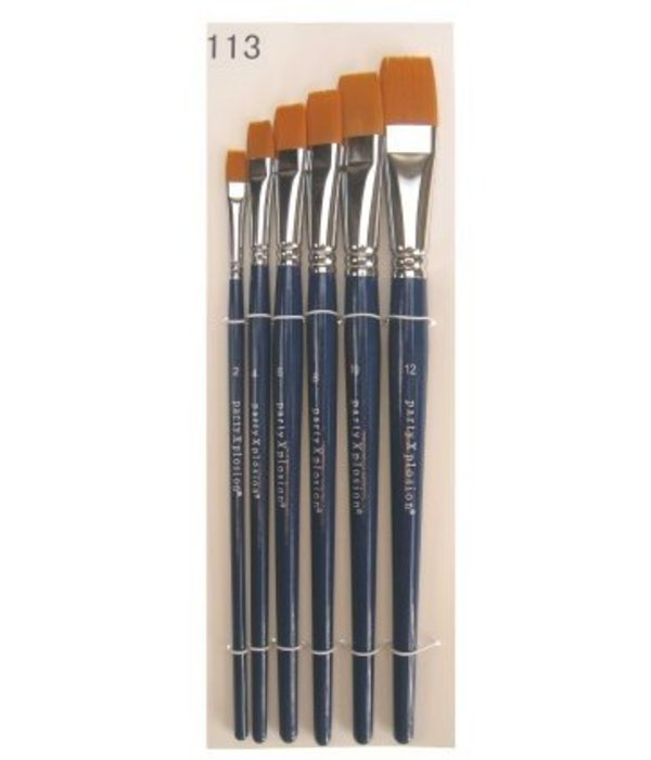 PXP penselenset in etui 6 stuks