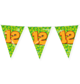 Happy Verjaardag Vlaggenlijn 12 Jaar (10m)