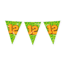Happy Verjaardag Vlaggenlijn 12 Jaar (10m)
