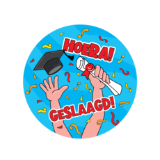 Bierviltjes 'Hoera Geslaagd' Cartoon (6st)