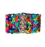 Regenboog Riem Pailletten