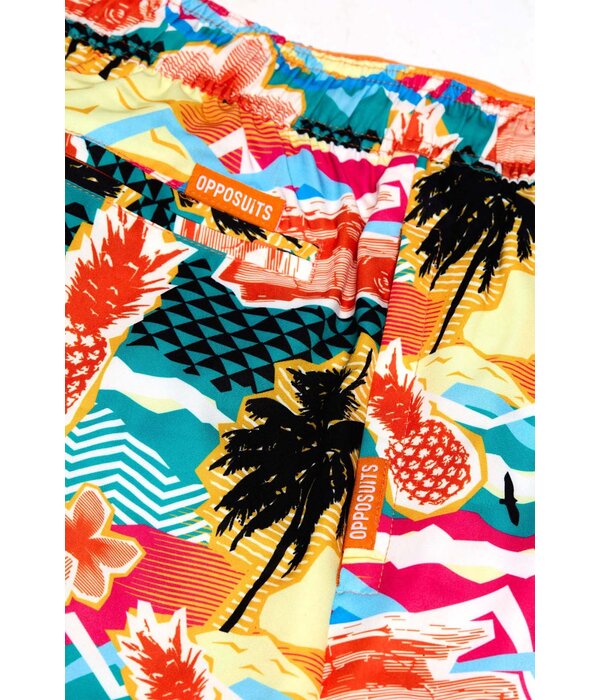 Hawaii Zwembroek Aloha Heren Opposuits