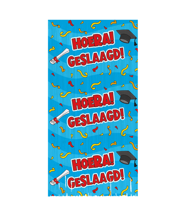Feestgordijn Hoera Geslaagd Cartoon Blauw