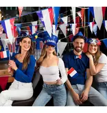 10 Papieren zwaaivlaggetjes Frankrijk (16x9.5cm)