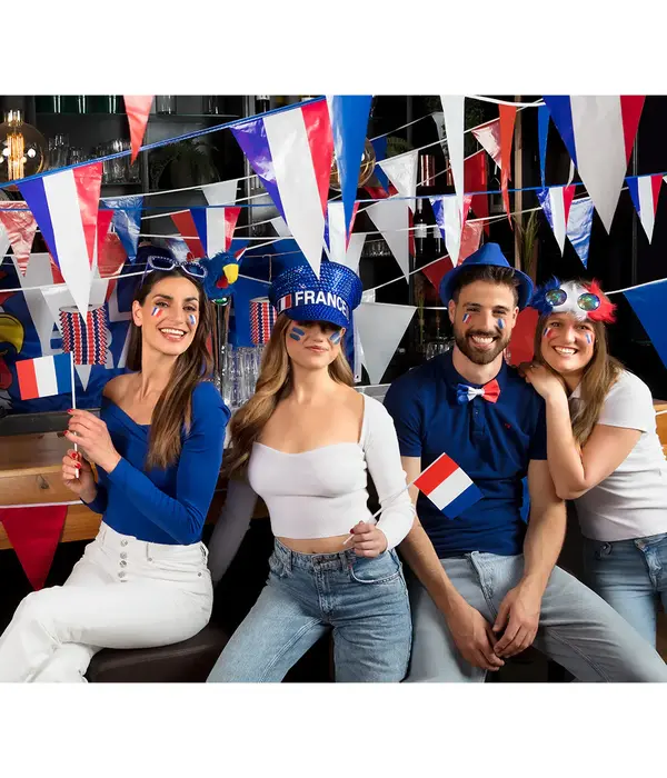 10 Papieren zwaaivlaggetjes Frankrijk (16x9.5cm)