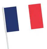 10 Papieren zwaaivlaggetjes Frankrijk (16x9.5cm)