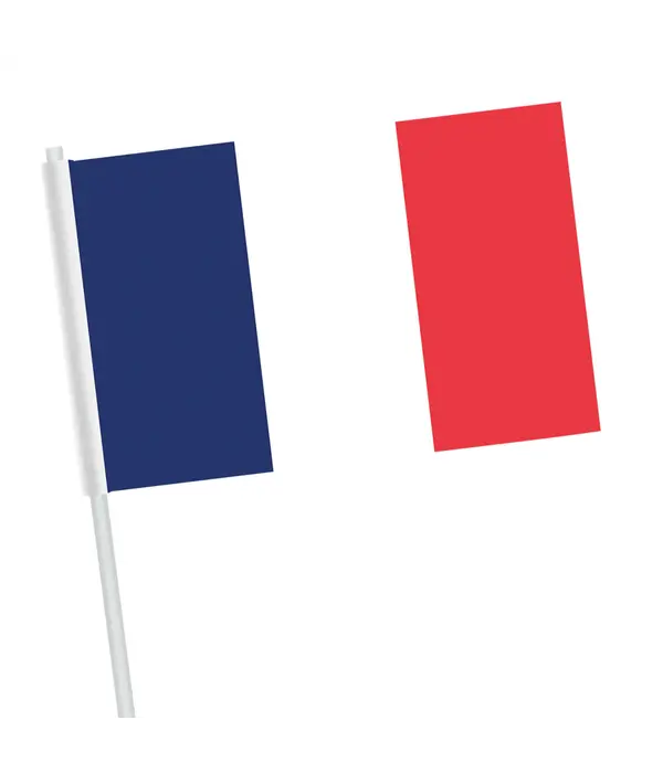 10 Papieren zwaaivlaggetjes Frankrijk (16x9.5cm)