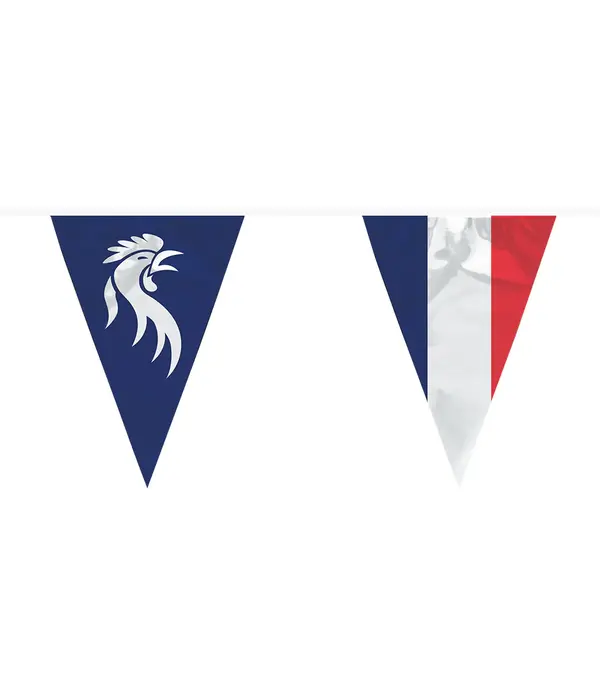 Vlaggenlijn Allez les Bleus