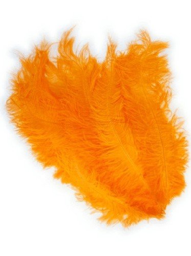 Floss veer oranje afbeelding