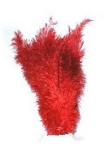 Floss veer rood