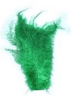 Floss veer groen afbeelding