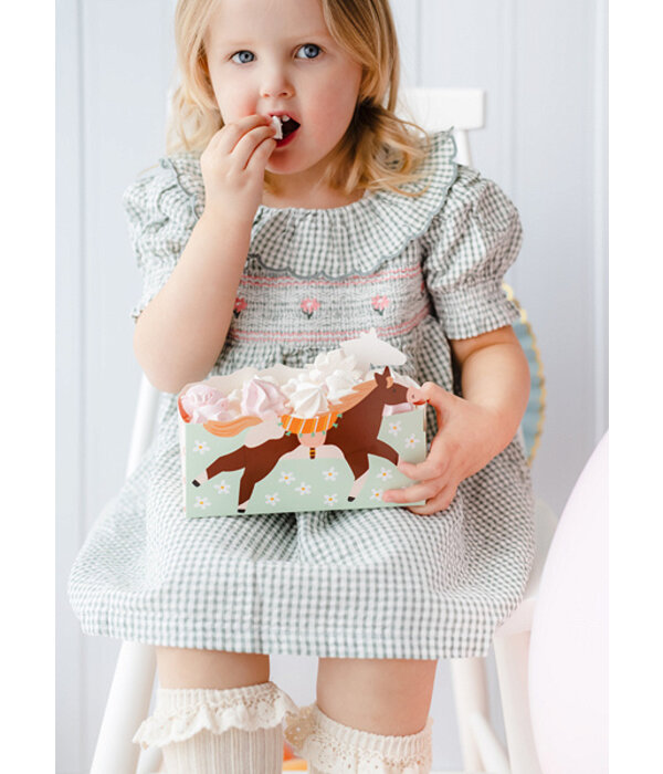 Snack Box Mix Paarden 3st