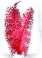Spadonis rood