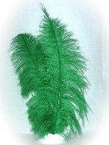 Spadonis groen afbeelding