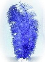 Spadonis Donker blauw