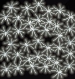 Spinnen glow in the dark