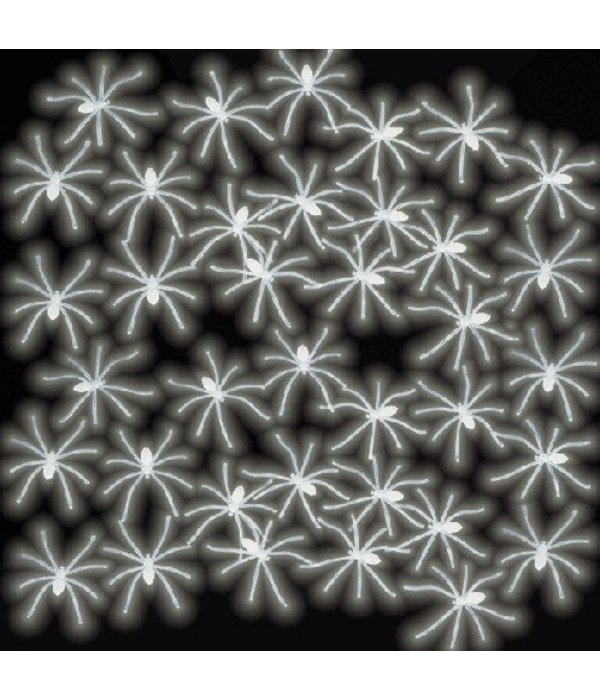 Spinnen glow in the dark