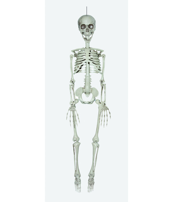 Deco Skelet 90cm