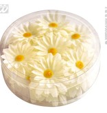 Decoratie Margrietjes bloemen