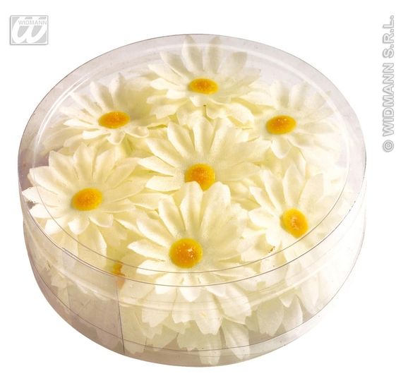 Decoratie Margrietjes bloemen