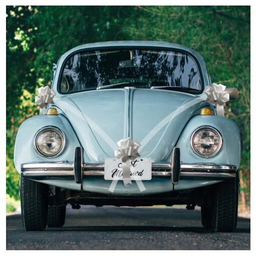 Trouwauto Versiering Bruiloft 5-Delig Zilver