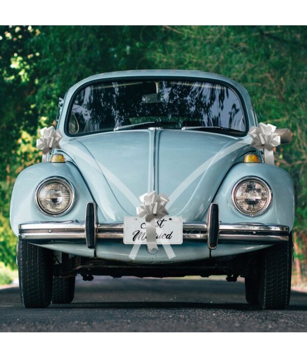 Trouwauto Versiering Bruiloft 5-Delig Zilver