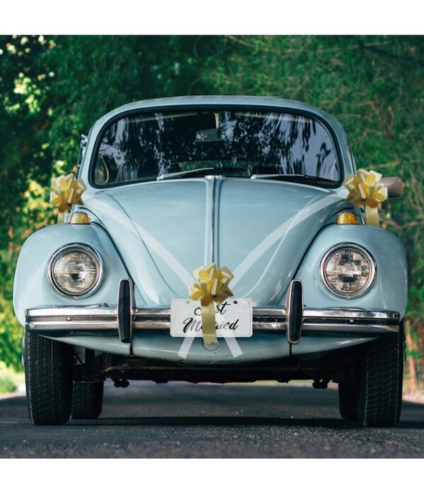 Trouwauto Decoratie Bruiloft 5-Delig Goud