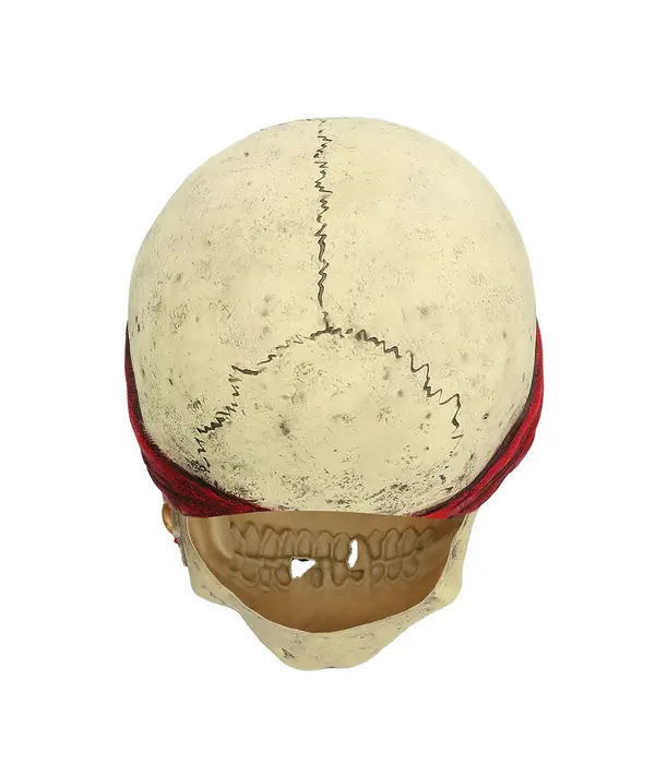 Latex hoofdmasker Piraat Crinson