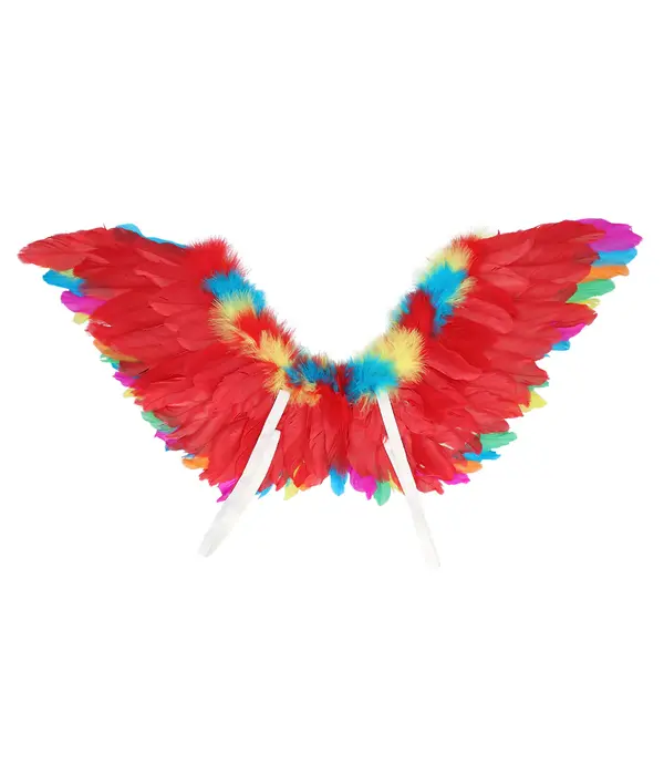 Engelenvleugels Colourful (35x65cm)