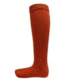 Oktoberfest Kniesokken Rood Deluxe